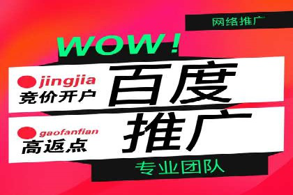 百度推广公司：成功案例解析